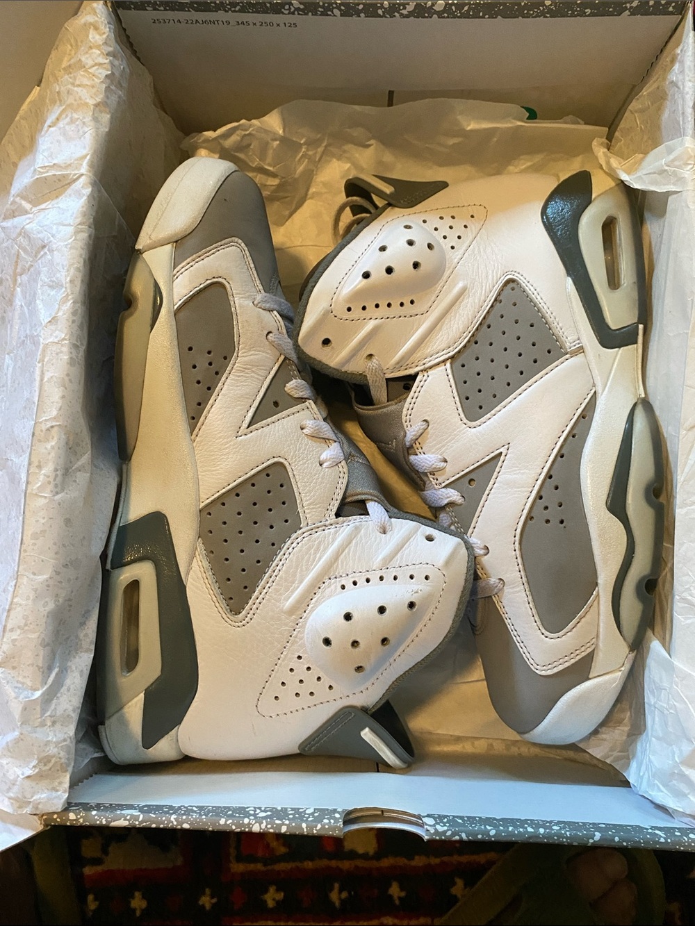 Nike Air Jordan 6 AJ6 Retro Cool Gray CT8529-100 men 8.5